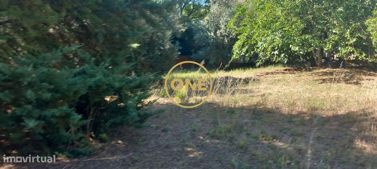 Quinta com 2.048 m2 para recuperação total em Santa Margarida da Couta-3