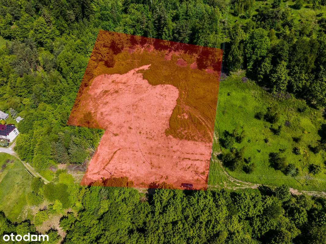 Działka widokowa w sąsiedztwie lasów - Pełny obrazek: 4/16