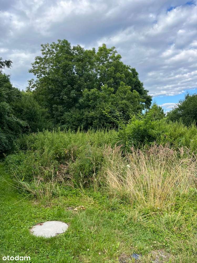 Działka budowlana w zielonym miejscu, blisko miasta - Pełny obrazek: 5/11