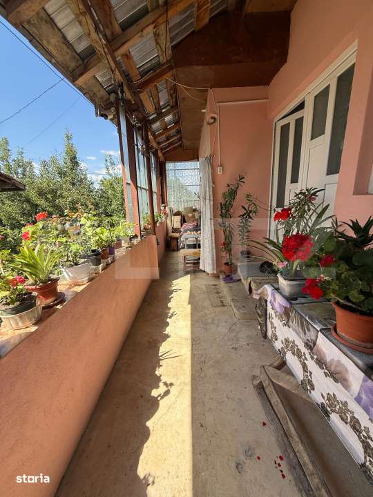 Casa cu teren 1000 m Drajna - Imagine principală: 4/19