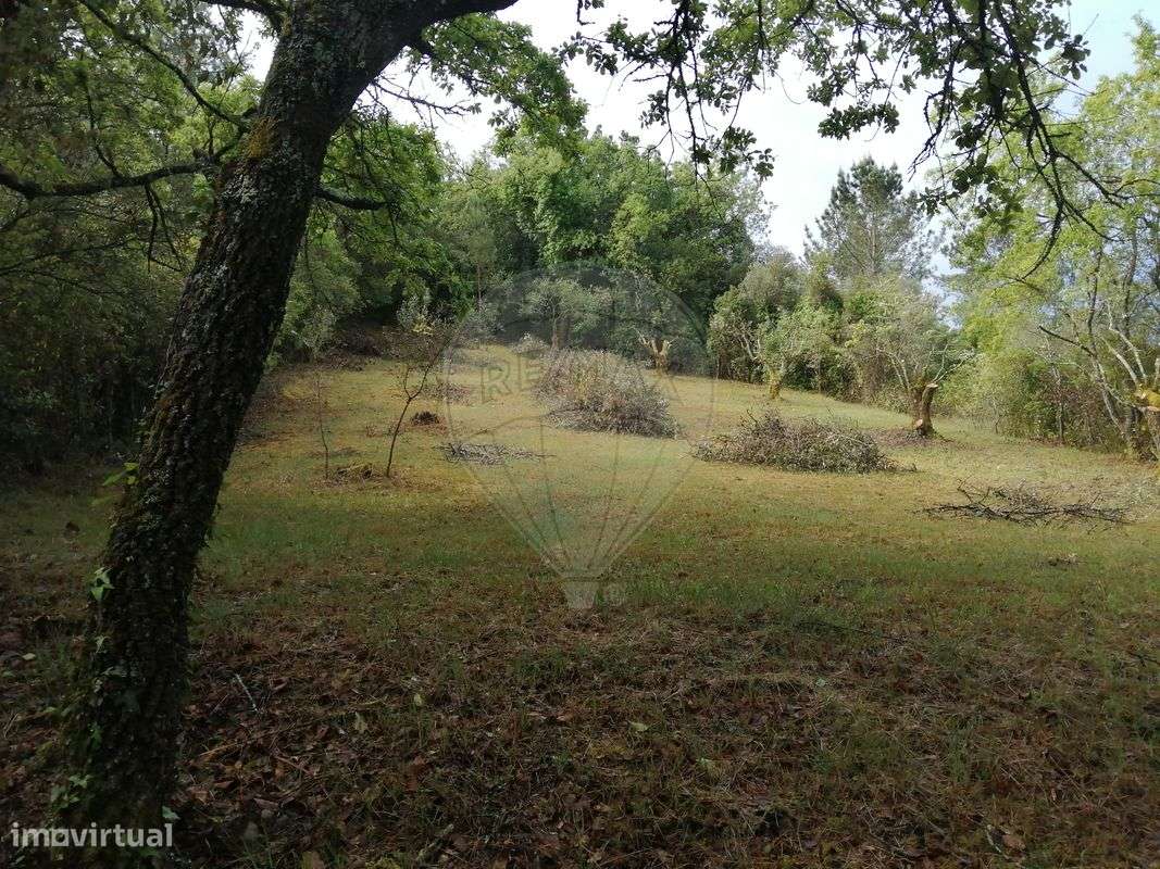 Terreno  para venda - Grande imagem: 2/4