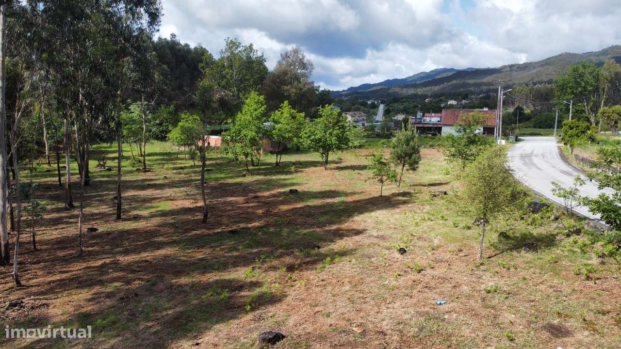 Terreno - Oliveira de Frades - Grande imagem: 5/18