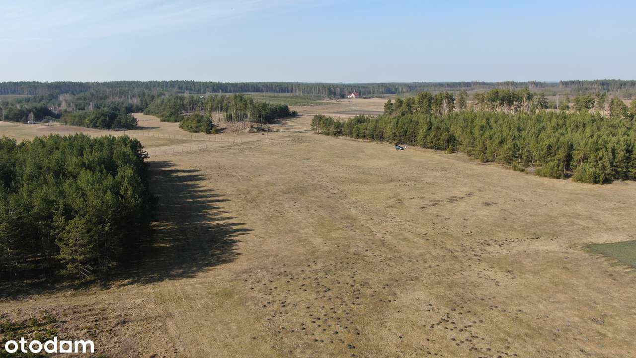 Atrakcyjna działka budowlana blisko natury i jezior - Pełny obrazek: 4/12
