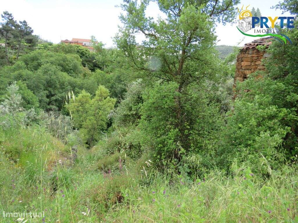 Pequena quinta a confinar com a Ribeira situada perto de Oleiros-30