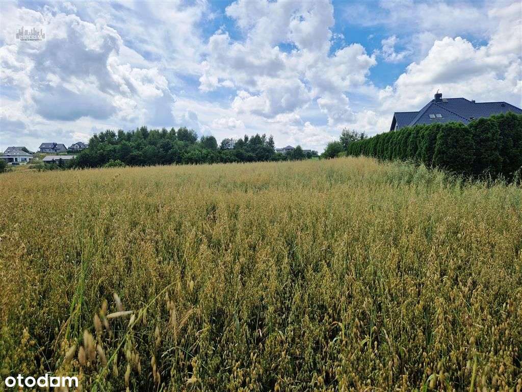 Widokowe działki|Media przy działce|Miejscowy plan-4