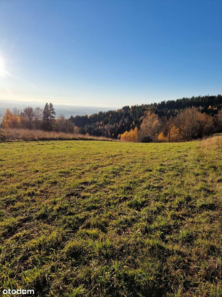 Widokowa działka budowlana z potencjałem-3