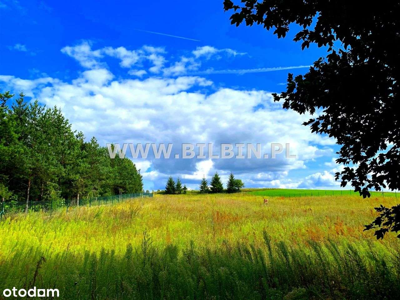 Kup atrakcyjną działkę pod budowę domu ! - Pełny obrazek: 4/7