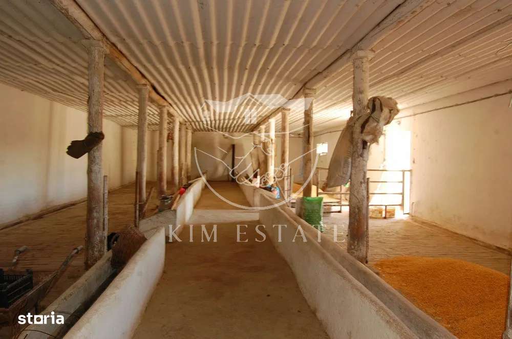 De vanzare ferma N.Balcescu-4