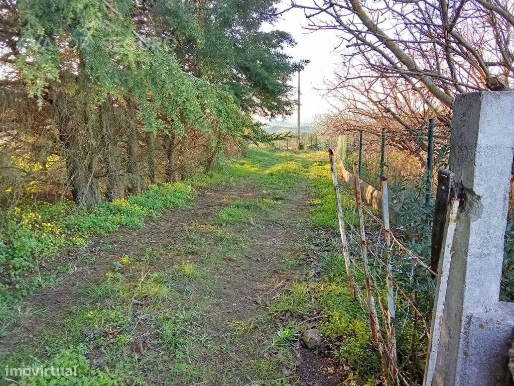 Terreno rústico em Vale Serrão, Pereiro de Palhacana, Alenquer-6