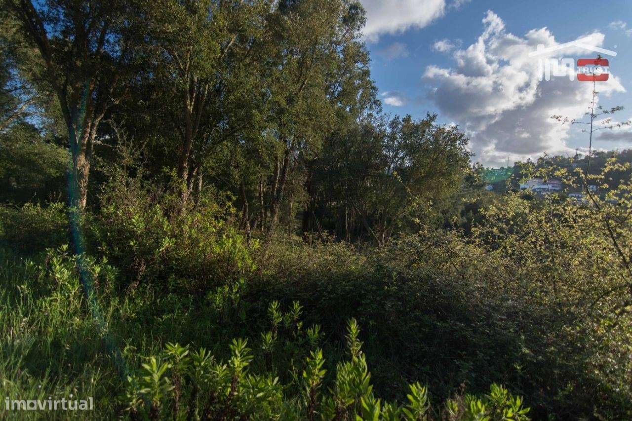 Terreno para construção, de moradia. - Grande imagem: 3/5