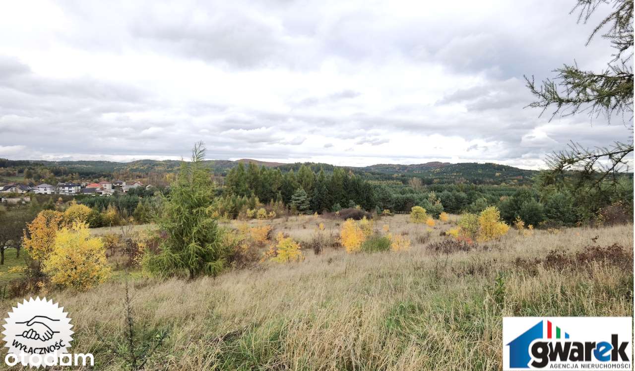 Widokowa Działka Budowlana Kwaśniów Górny 2300 m2 gmina Klucze - Pełny obrazek: 4/6