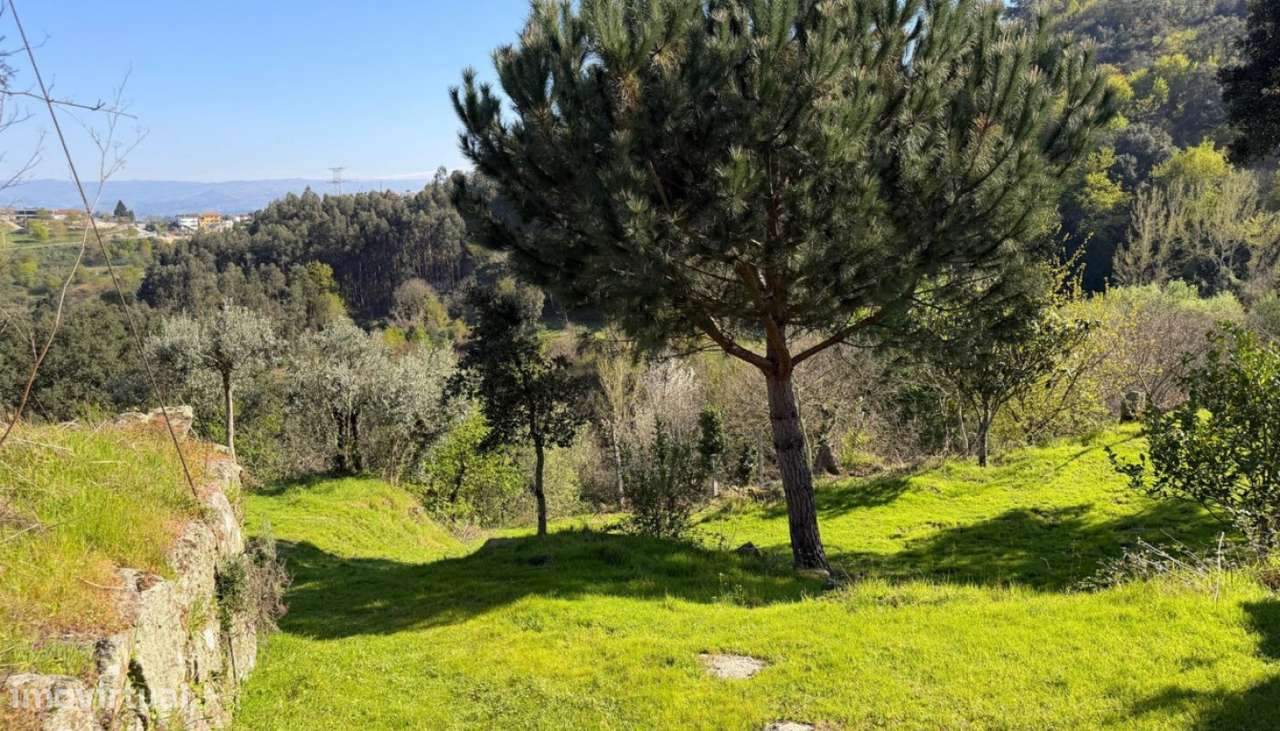 Venda Quinta com Moradia V3, Paredes de Viadores, Marco de Canaveses - Grande imagem: 5/42