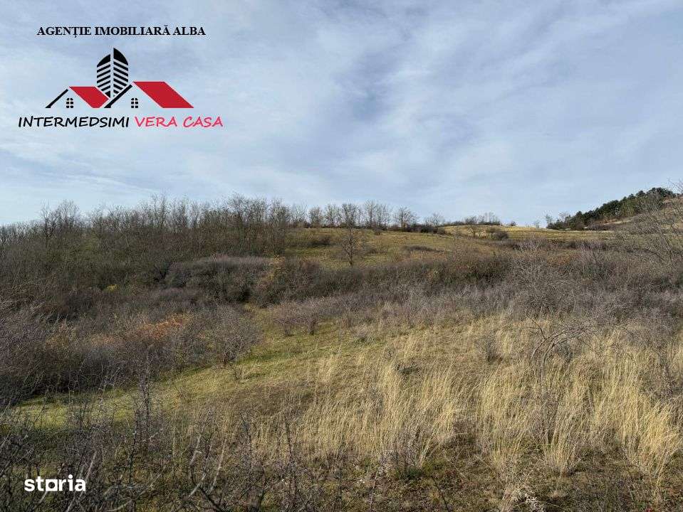 Teren extravilan de vanzare la perfiferia satului Inuri Jud Alba - Imagine principală: 4/16