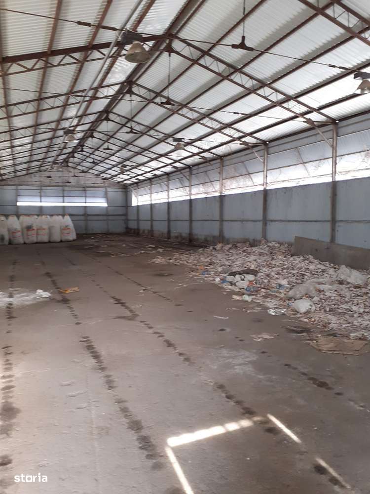Hala industriala Frumusani - Buciumeni - Imagine principală: 4/11