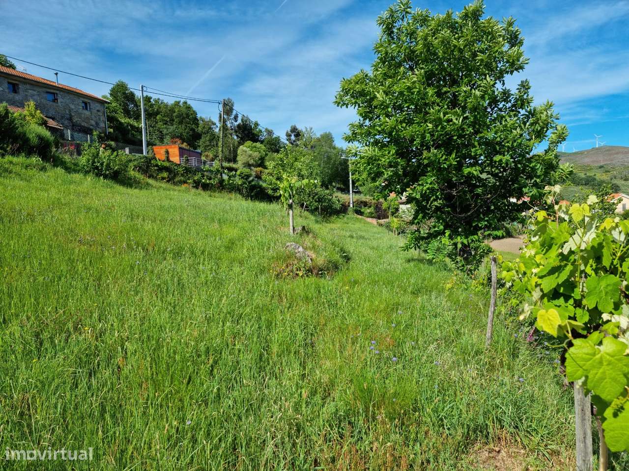 Terreno Para Construção  Venda em Ruivães e Campos,Vieira do Minho-13