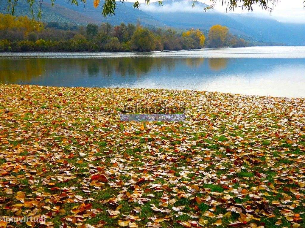 Quinta 98,7ha, Vinha, Turismo, rio Douro, Natureza imensa. Portugal... - Grande imagem: 3/9