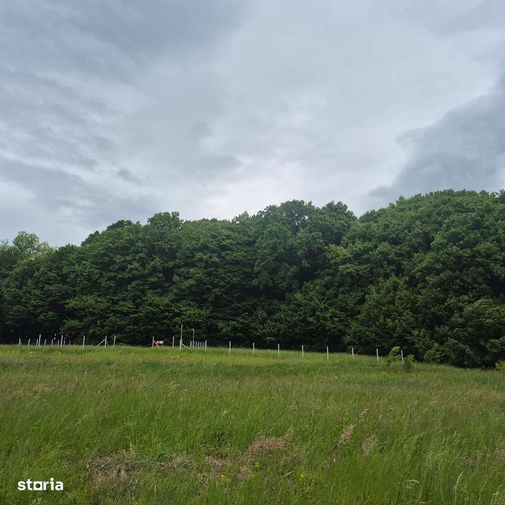 Grosi, 23 ari teren - Imagine principală: 3/3