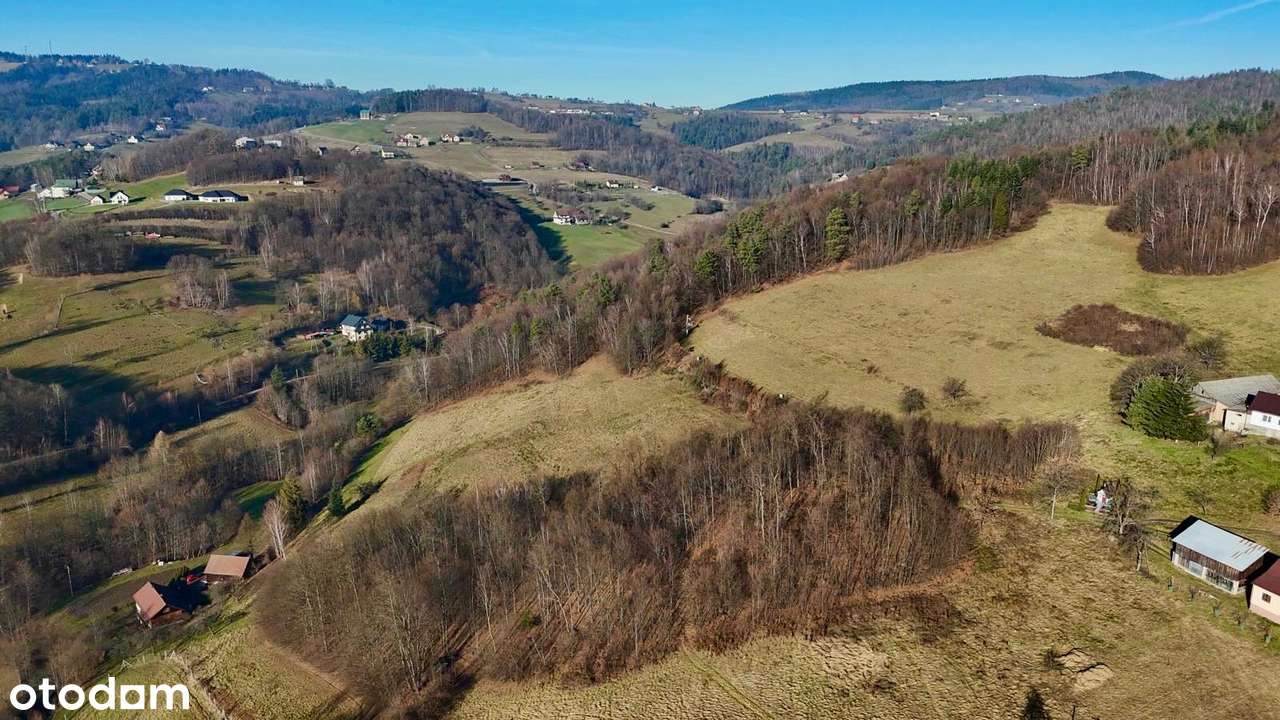Działka rolno-budowlana z potencjałem-Laskowa - Pełny obrazek: 4/8