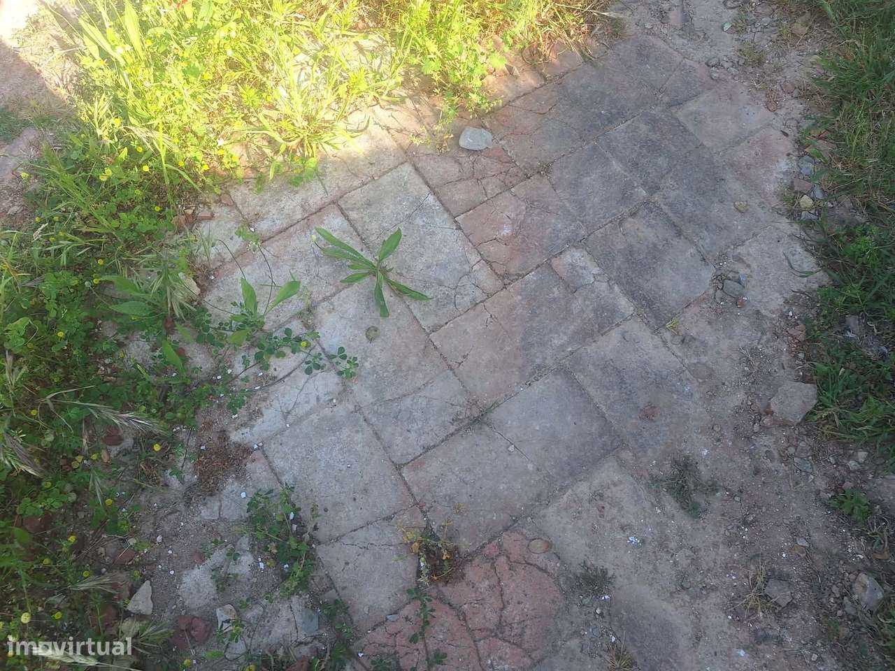 Terreno nos arredores de São Brás de Alportel-3