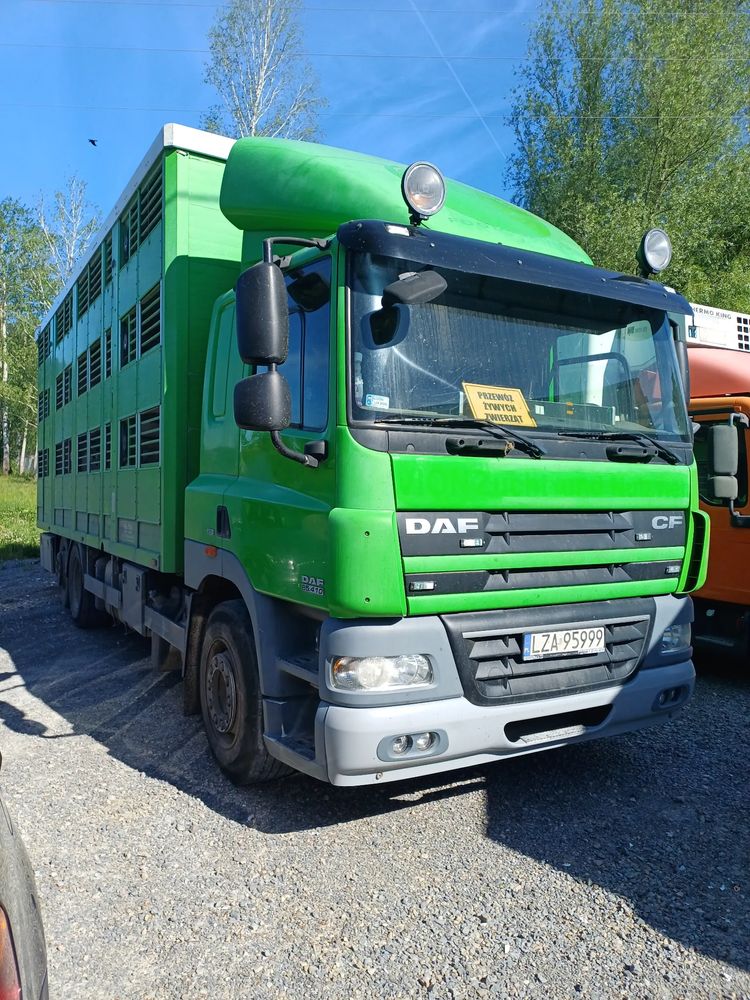 DAF CF 2011