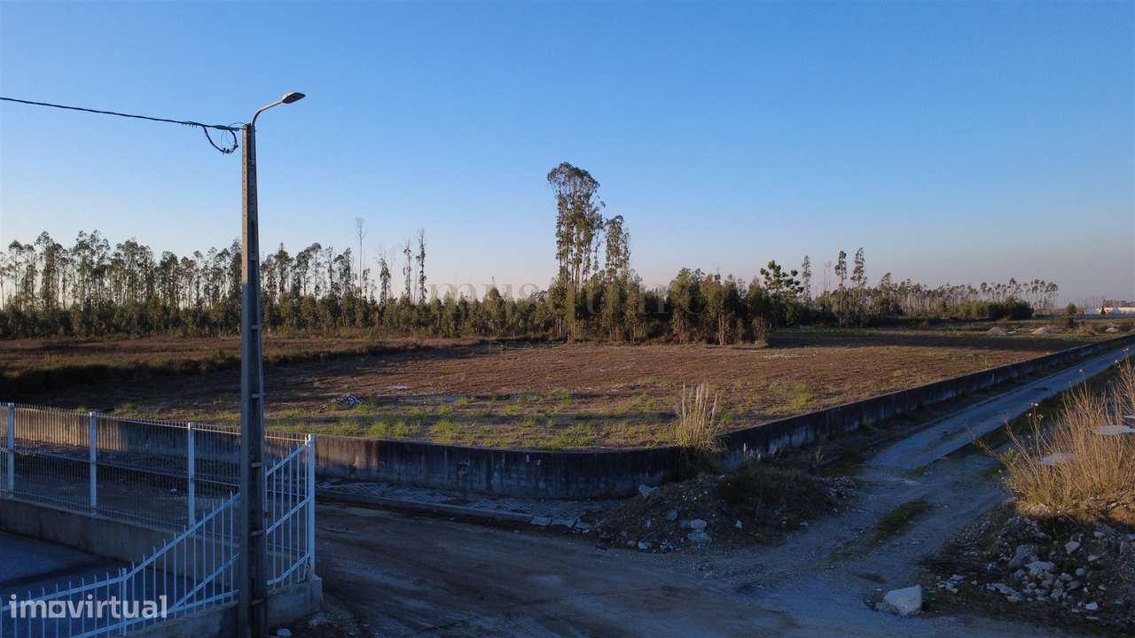 Terreno Industrial para Venda – Zona Industrial de Albergaria-a-Velha-11