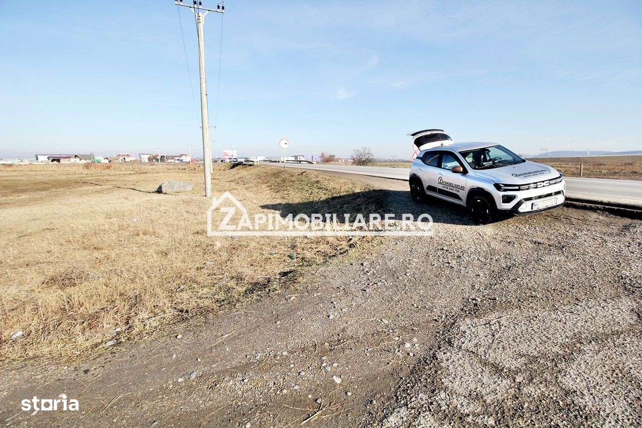 Teren intravilan 20.347 mp in Ungheni - Imagine principală: 5/7