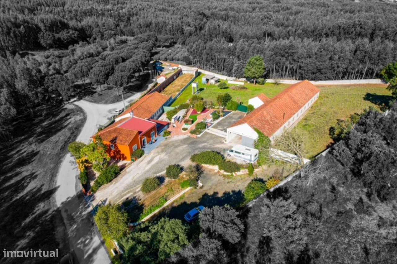 Quintinha com habitação, armazéns e terreno - Rio Maior-7