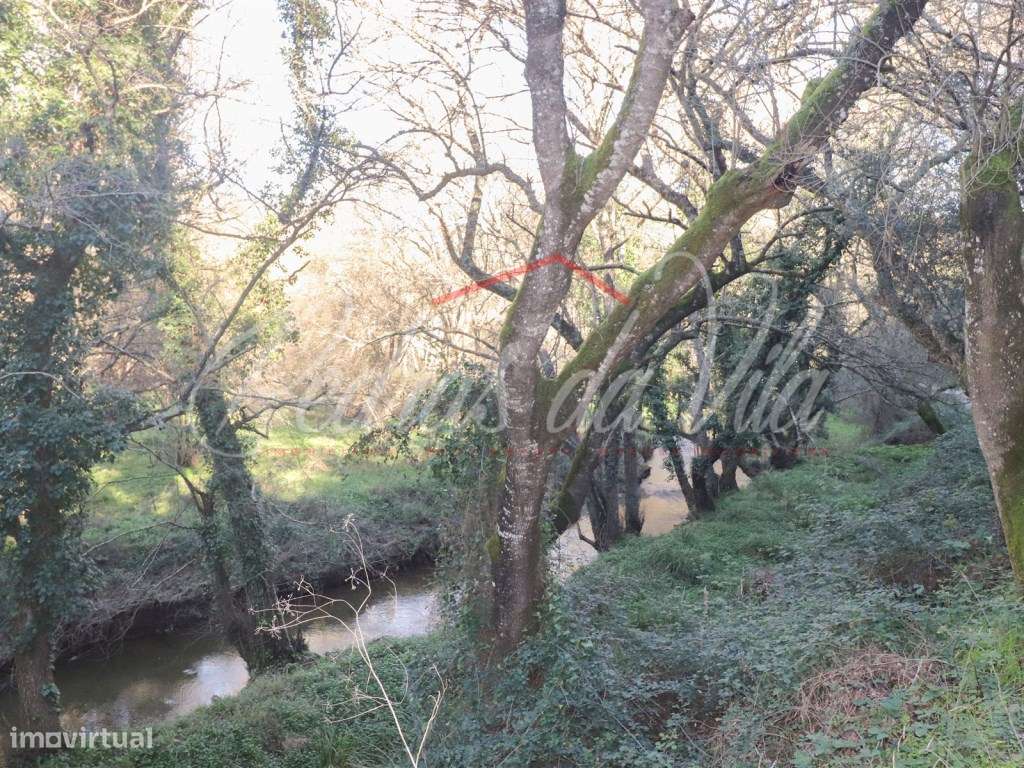 Monte Alentejano de 36ha com 3 ruinas - Pego das Pias - Odemira-8