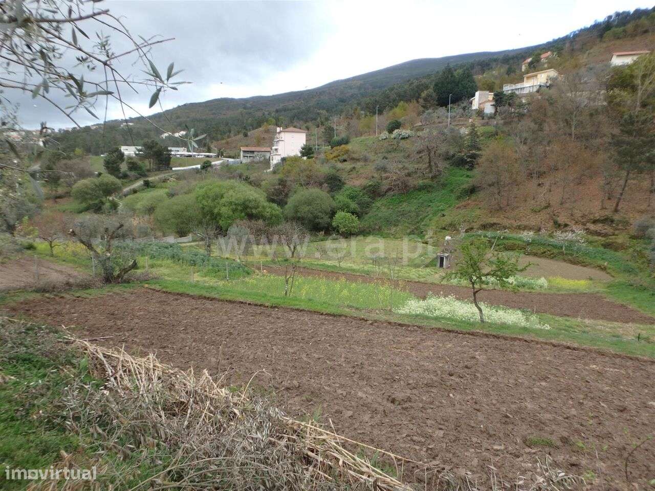 Quinta / Seia, São Romão - Grande imagem: 5/19