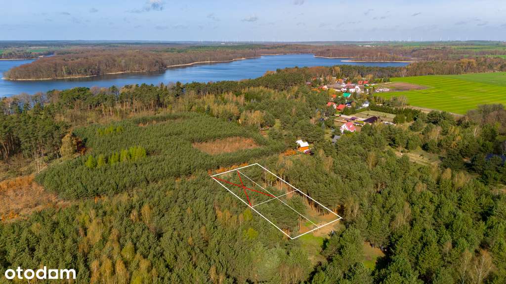 Działki nad jeziorem Chłop - 986m2, 921m2, 920m2 - Pełny obrazek: 4/15