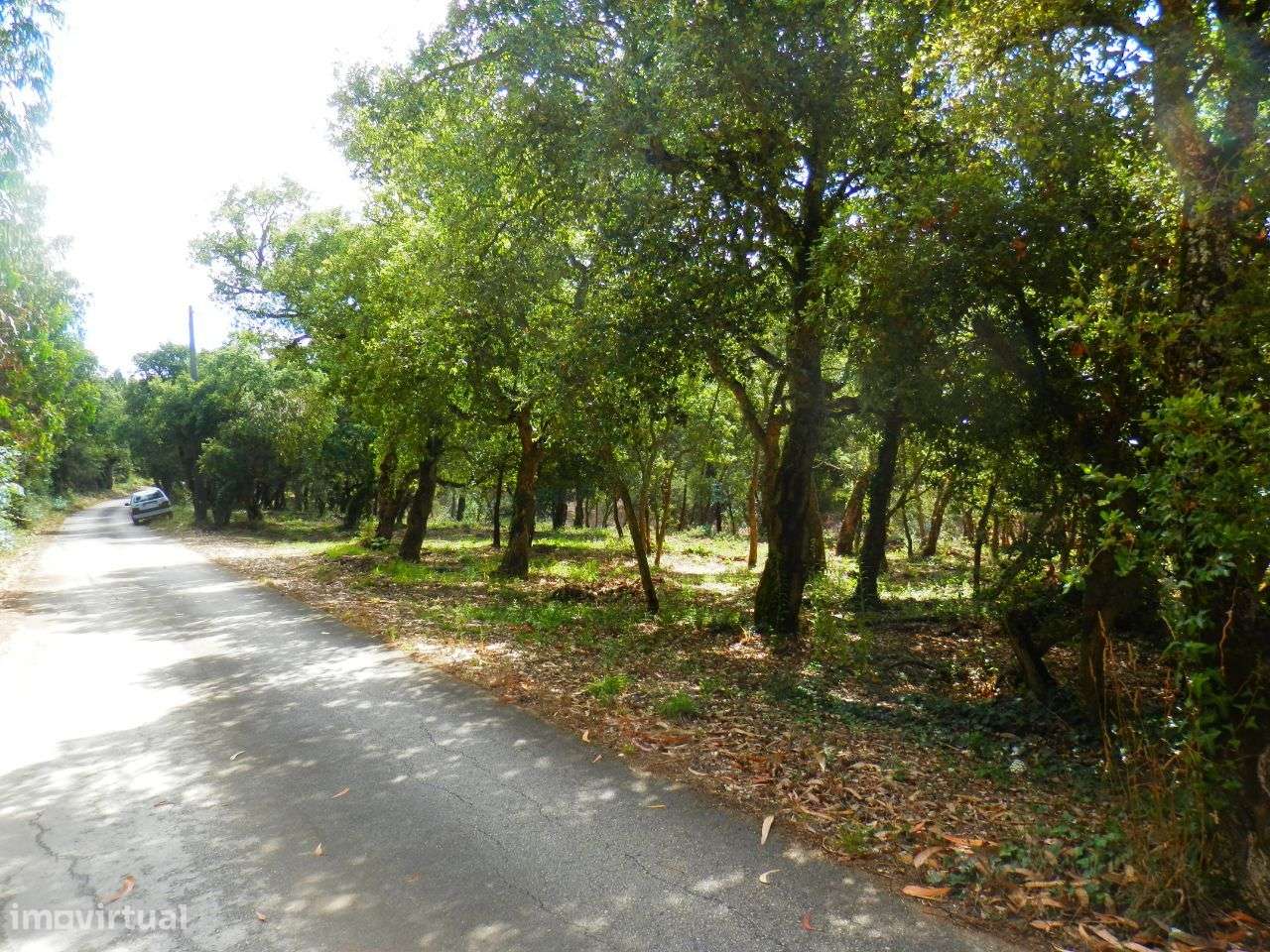 Terreno rustico com 24.985m² - Grande imagem: 3/12