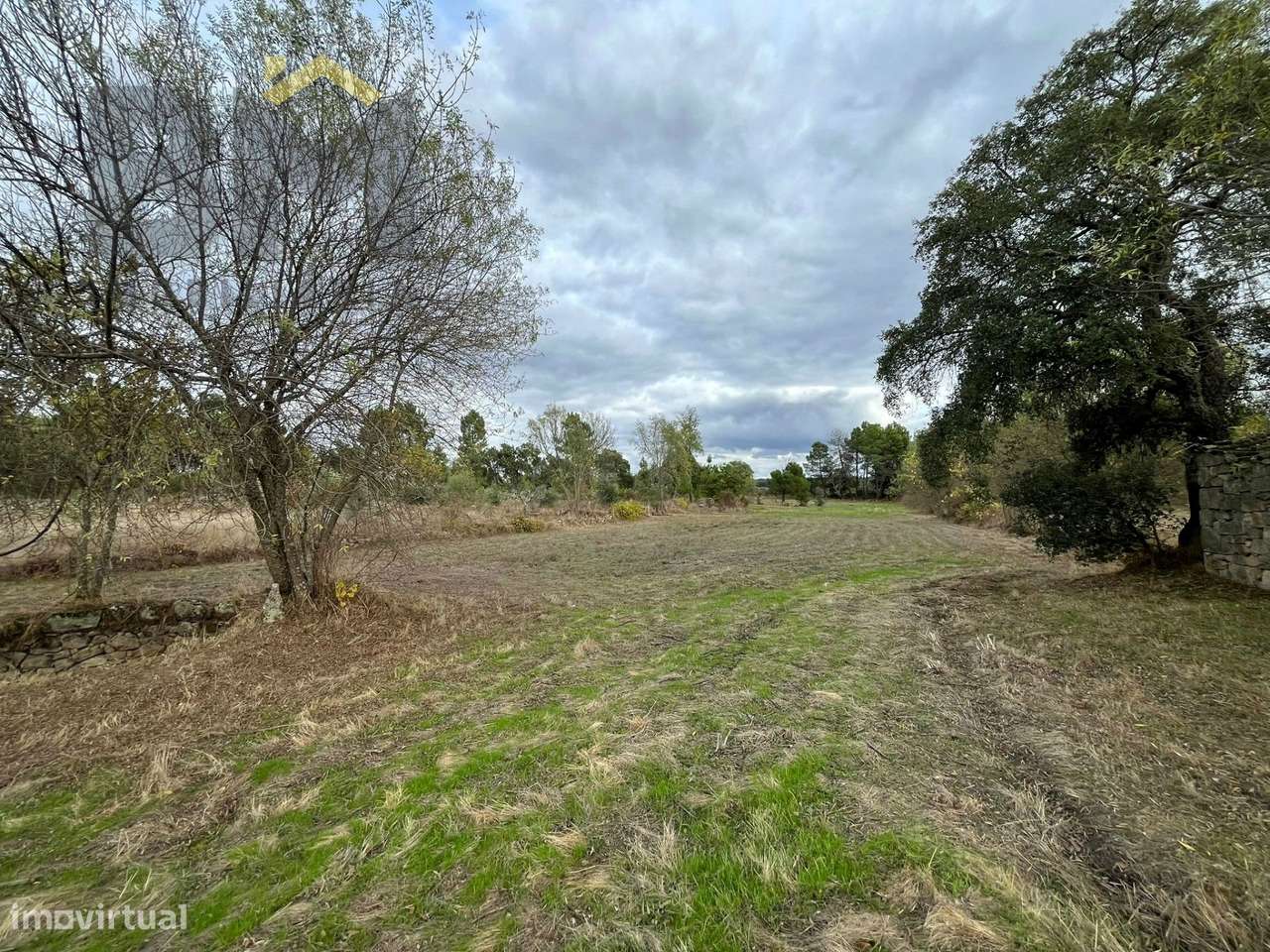Quintinha  Venda em Póvoa de Rio de Moinhos e Cafede,Castelo Branco-6