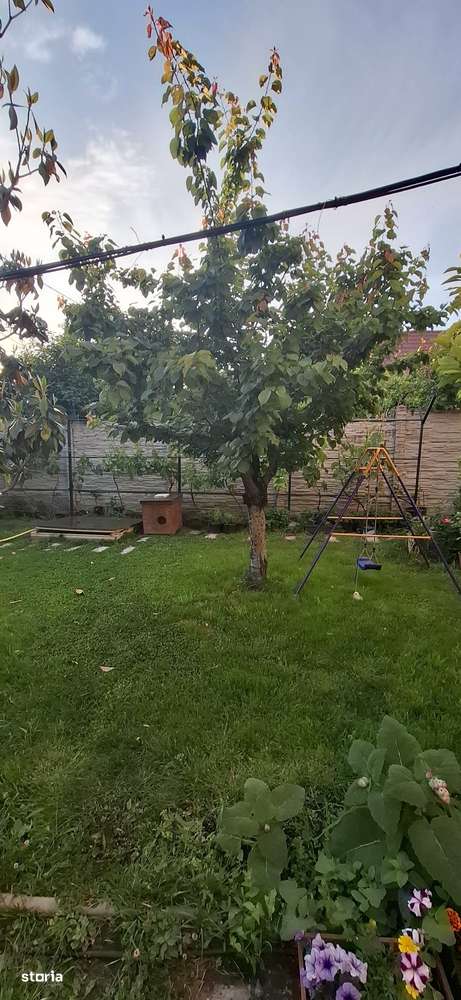 Vila zona Ciuperca - Imagine principală: 4/20