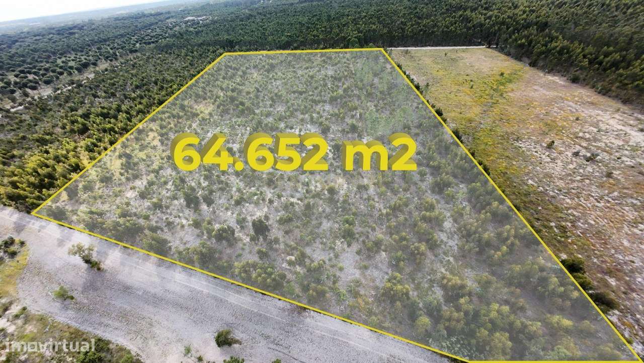 Magnifica Herdade Turística   em Santo Estêvão, Benavente-0