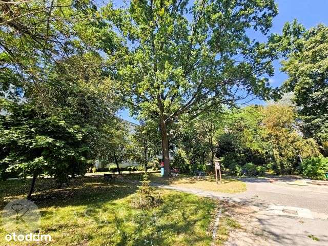 Saska Kępa 2 pok. wśród zieleni Polecam!!!-11