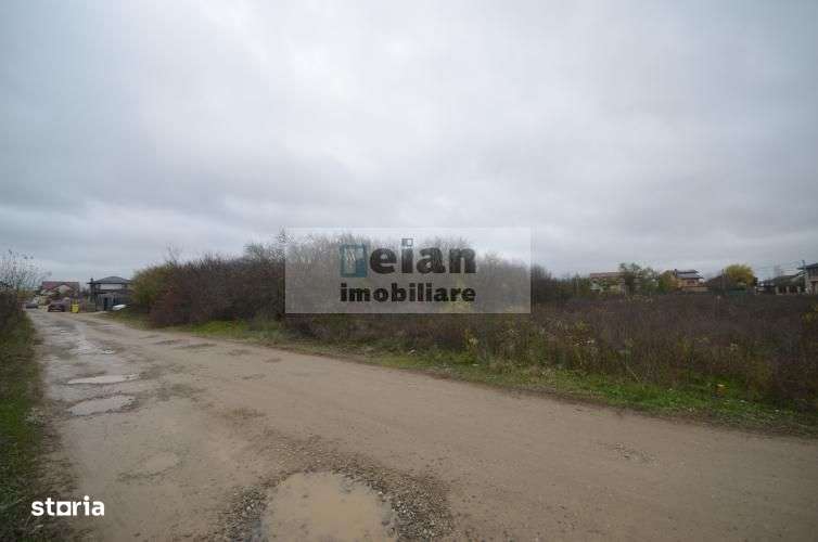 Mogosoia - Nichita Stanescu, Teren 3000mp, Deschidere 44ml, Utilitati-6