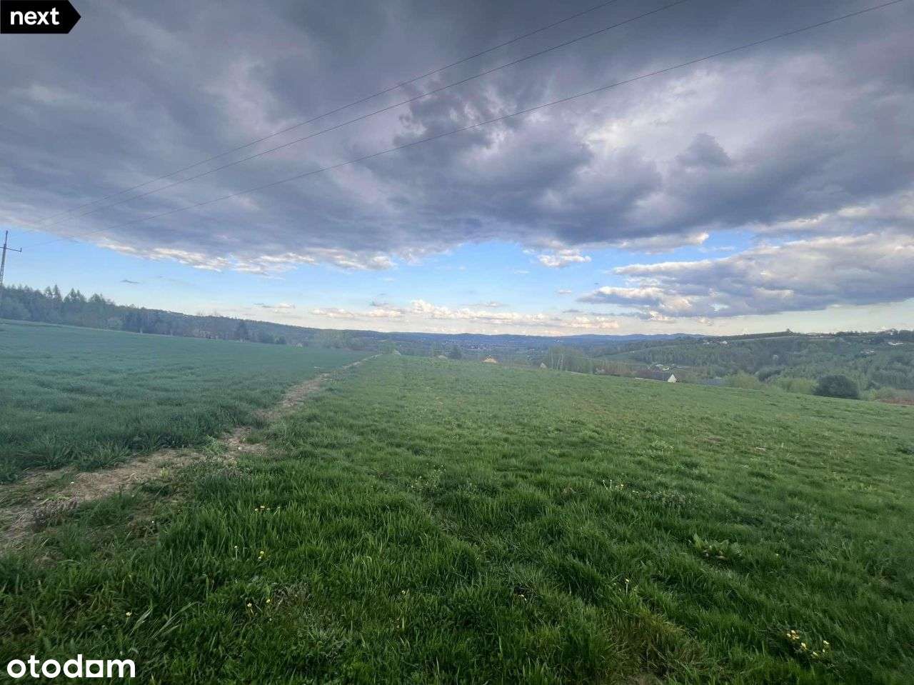 Działka rolna 33 ary - Pełny obrazek: 4/4