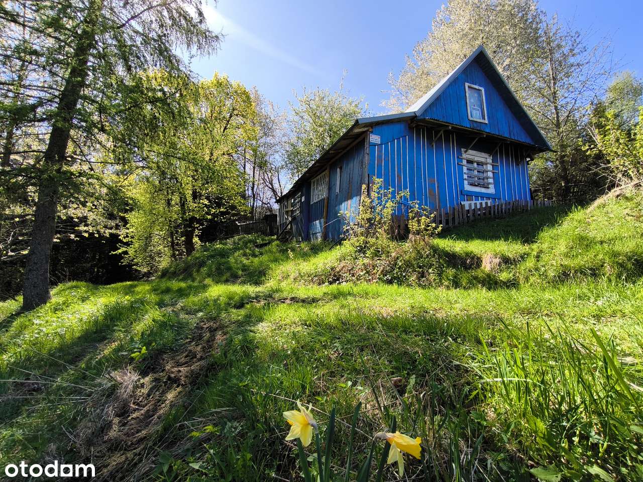Duża widokowa działka 44,8a z domem | Beskidy Korbielów | bez sąsiadów - Pełny obrazek: 4/20