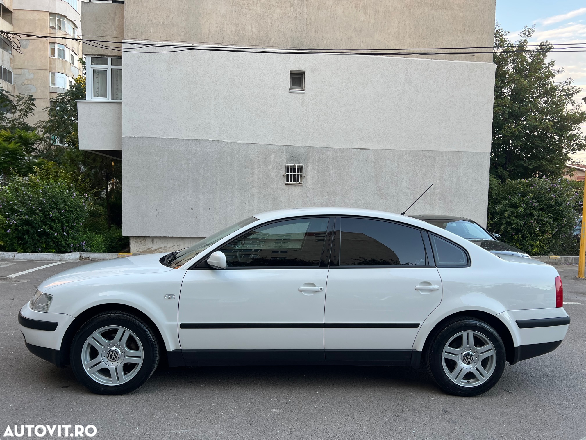 Volkswagen Passat Standard - 6