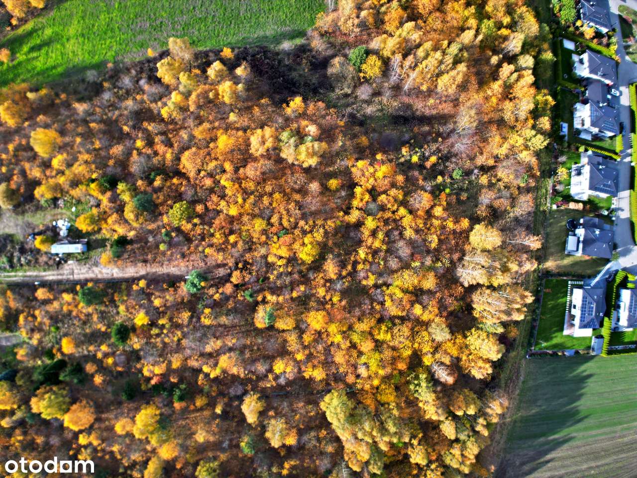 Działki budowlane z pozwoleniem na budowę - ul. Szancera 22 - Łódź-1