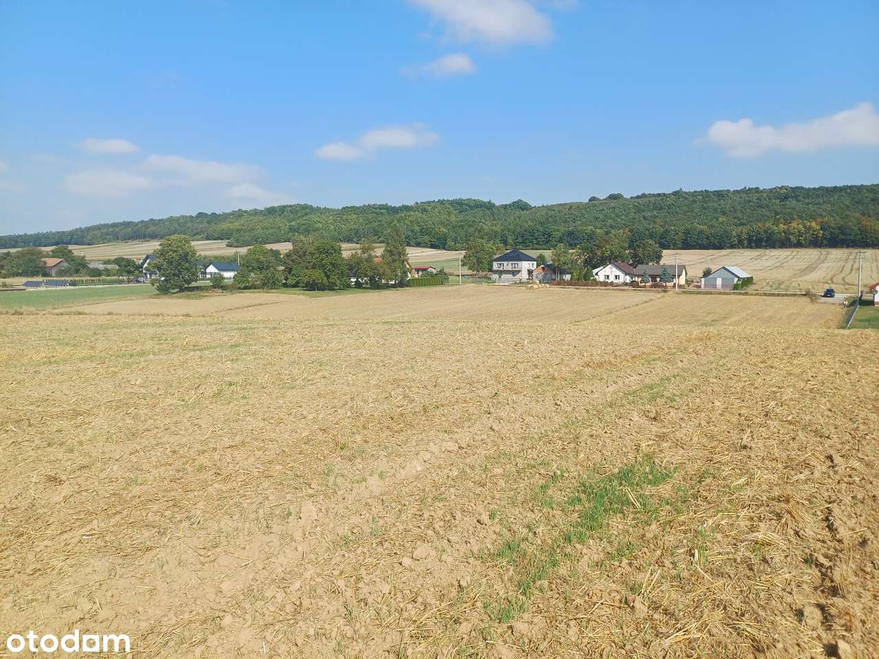 Działki rolne na sprzedaż - Klonów, gm. Racławice-1