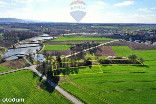 Głębowice - widokowa działka w spokojnej okolicy - Pełny obrazek: 4/16