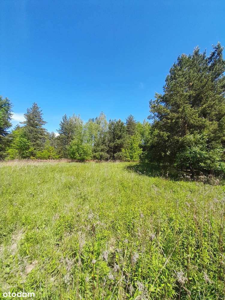 Działka 3940 m2, Łubna/Janówek, gm. Góra Kalwaria-1