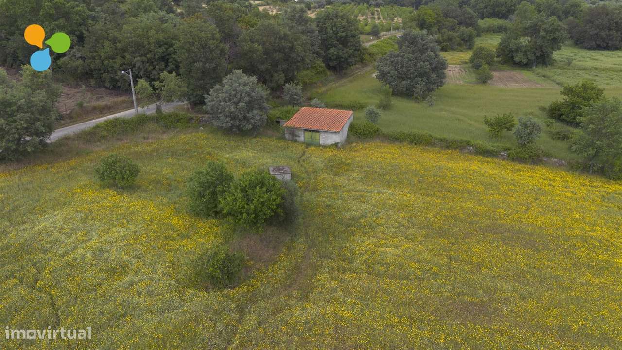 Quinta - Boidobra-10