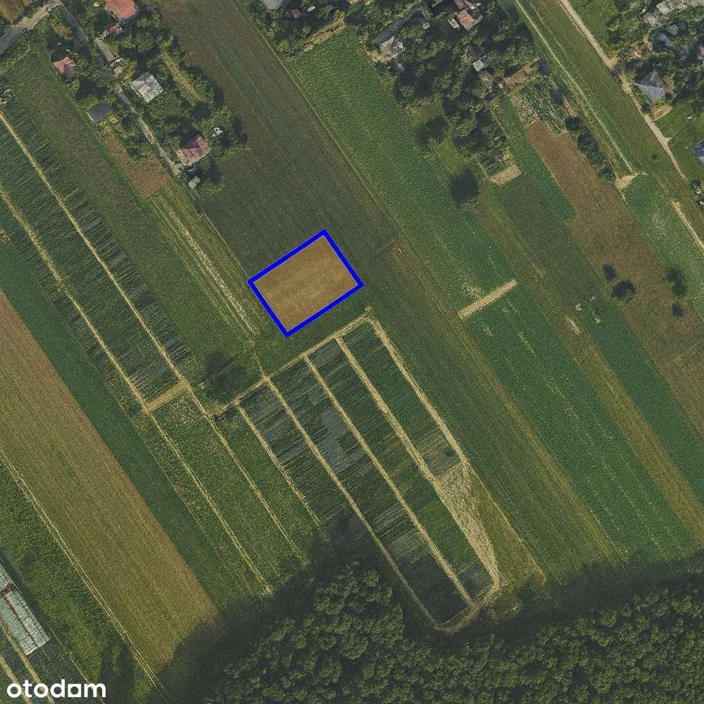 Działka budowlana w Tereszynie - Pełny obrazek: 5/5