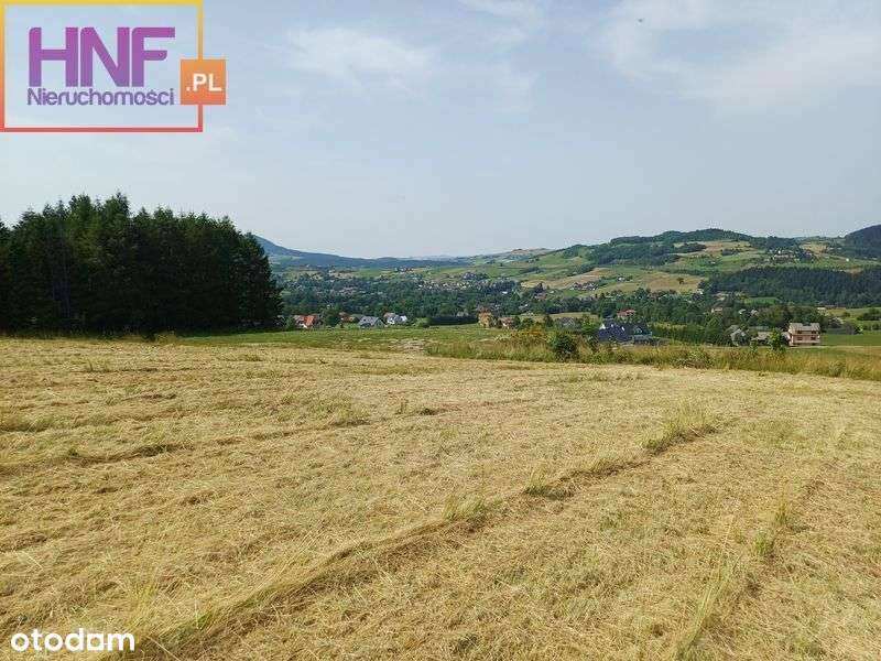 Działka budowlana Ptaszkowa 66ar - Pełny obrazek: 4/15