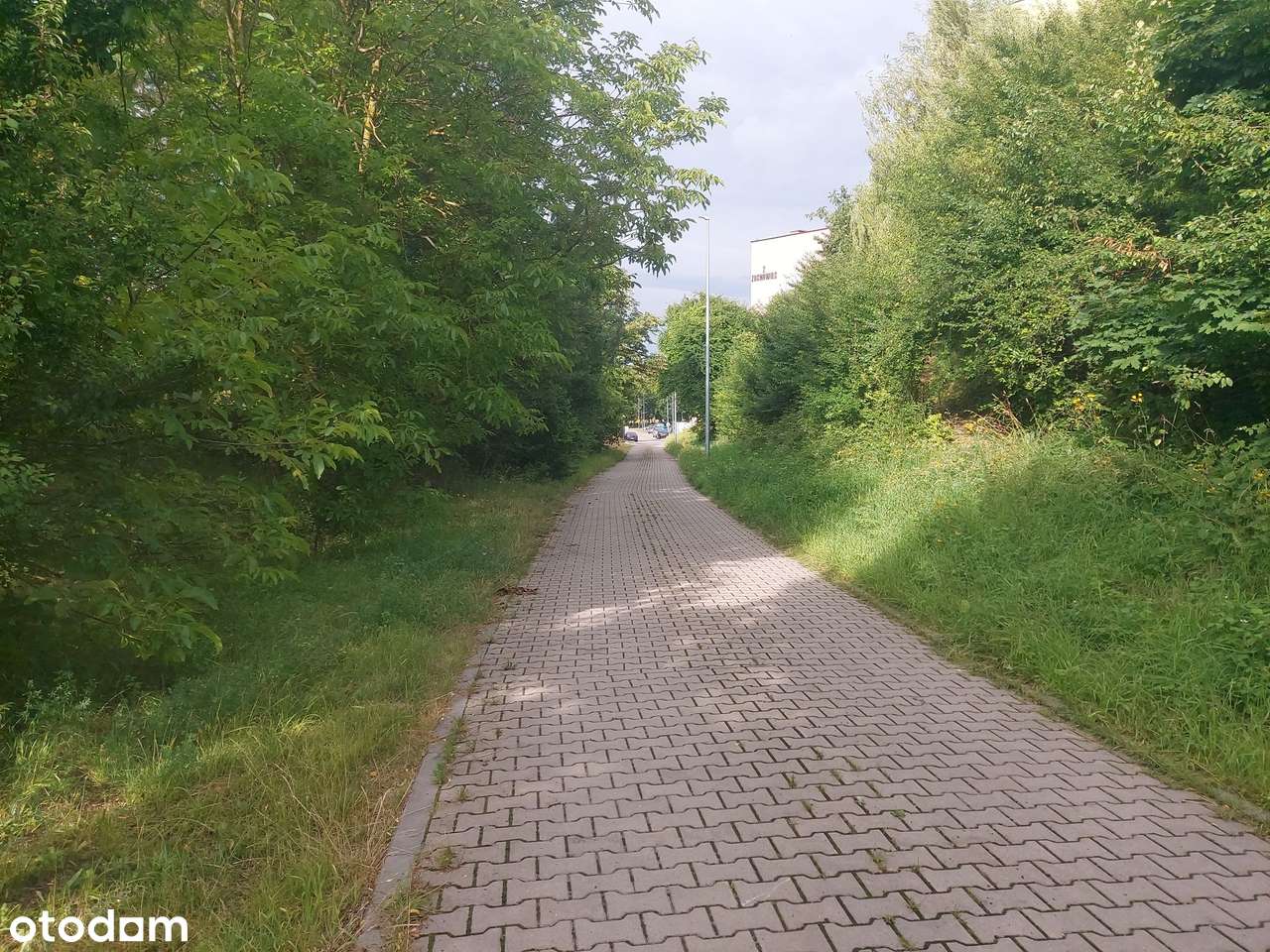 Sprzedam dwie działki budowlane w Iłży przy ul. Trakt Seredzki - Pełny obrazek: 4/5