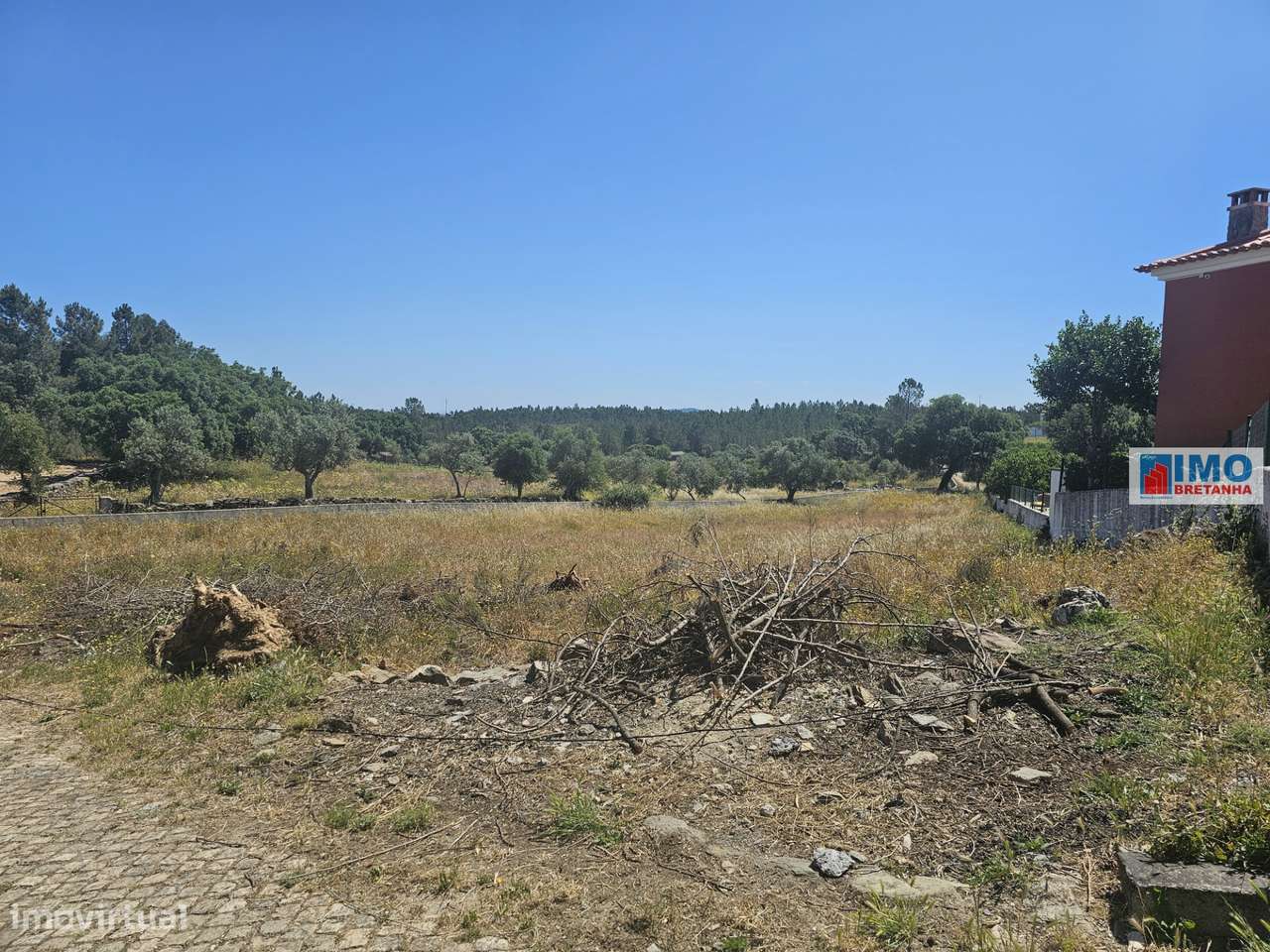 Lote de Terreno  Venda em Benquerenças,Castelo Branco - Grande imagem: 3/6