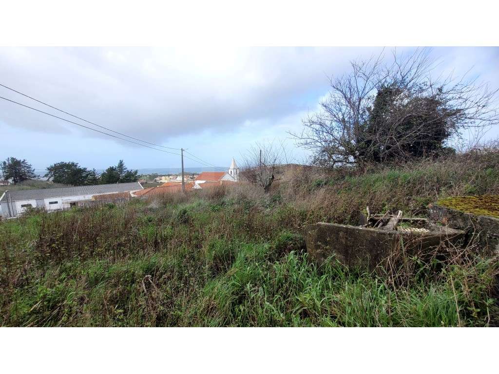 Terreno para construção, Óbidos - Grande imagem: 4/10