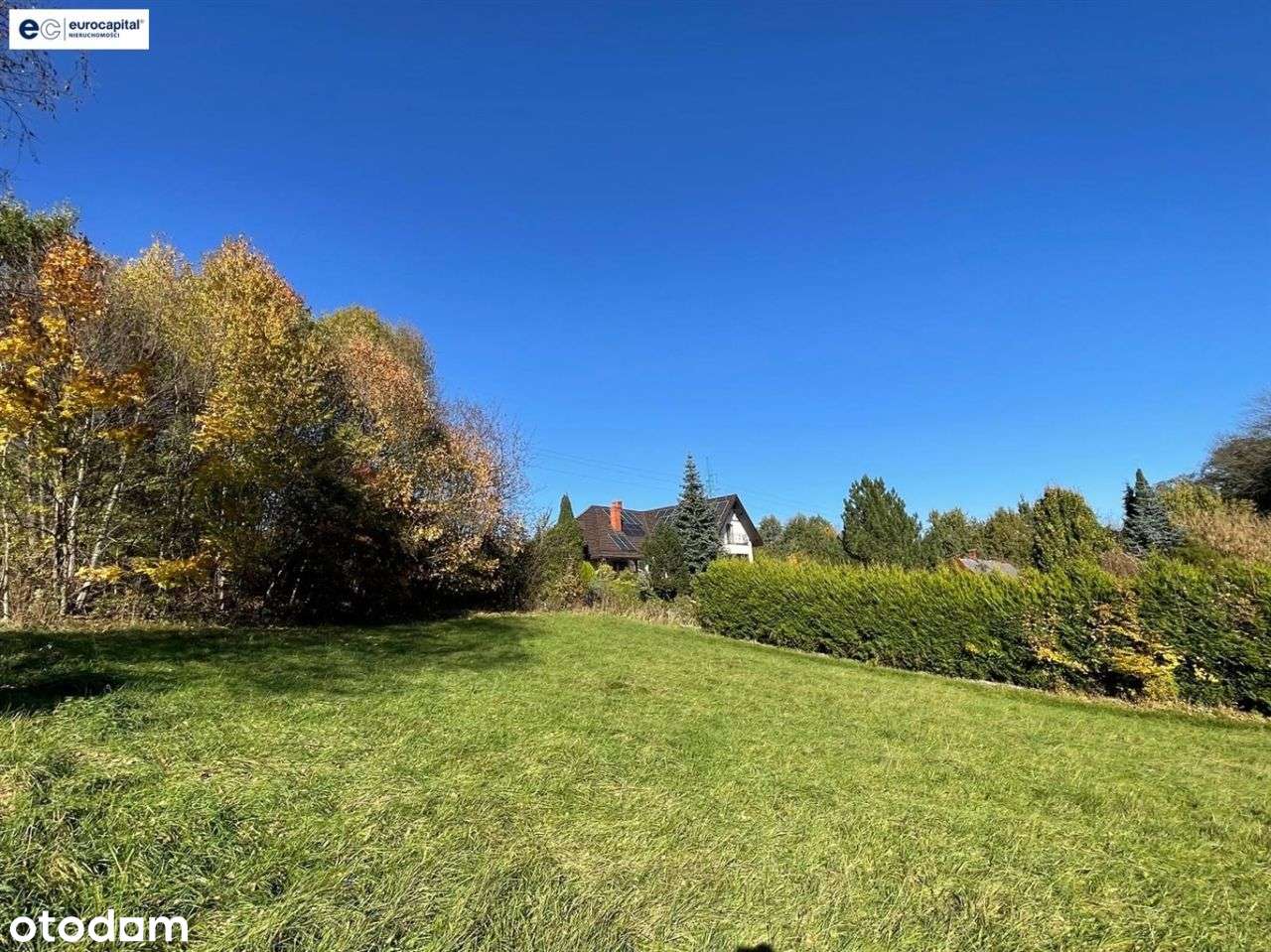 Duża działka w sasiedztwie zagajnika i strumyka!-7